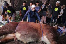 KDS Apresiasi Bantuan Sapi Kurban Presiden untuk Warga Dayeuhkolot