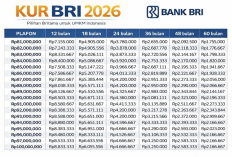 Pinjaman KUR BRI 50 Juta 2026, Cicilan Mulai Rp700 Ribu per Bulan untuk Modal Usaha