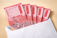 Cara Cek Status BLT Mitigasi Risiko Pangan Rp600 Ribu Hari Ini Lewat HP