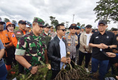 Bupati Bandung Dadang Supriatna Minta Penebangan Liar di Pengalengan Diproses Hukum