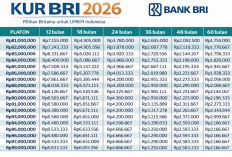 Pinjaman KUR BRI April 2026: Modal 30 Juta, Cicilan Santai Mulai Ratusan Ribu