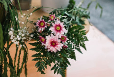 7 Tanaman Hias untuk Lebaran, Bikin Suasana Makin Segar dan Wangi