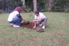 Mitigasi Bencana, Kejari Kabupaten Bogor Tanam Pohon di Kawasan Puncak