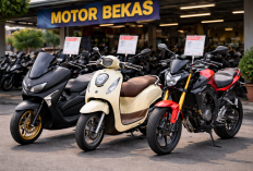 Harga Motor Bekas Update Februari 2026: Skutik Favorit hingga Naked Sport