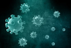 Komisi Eropa Sebut Risiko Hantavirus di Eropa Masih Rendah