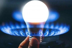 Turki Umumkan Harga Listrik dan Gas Alam Naik sampai Dua Digit