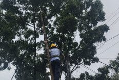 PLN Icon Plus dan Pemkot Bandung Bersinergi Menata Jaringan Fiber Optik demi Layanan Andal 