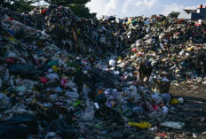 Sampah Jadi Prioritas, Pemkot Bandung Tambah 25 Mesin Pengolah dan 1.597 Petugas