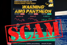 Kabar Terbaru! Benarkah Uang Korban Aplikasi AMG Pantheon Bisa Kembali?