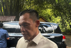 Wabup Bogor: Jangan Batasi Penanaman Pohon Bambu