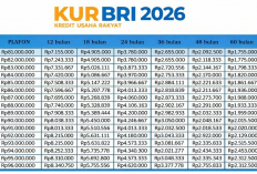 Pinjaman KUR BRI Rp50 Juta Terbaru: Tenor Panjang, Cicilan Ramah UMKM
