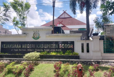 Kejari Kabupaten Bogor Amankan 20.142 Ekor Benih Lobster yang akan Diekspor ke Vietnam