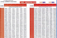 KUR BRI 2026 Cair Lagi, Pinjam Rp80 Juta Cicilan Bisa di Bawah Rp2 Juta? Cek Disini!