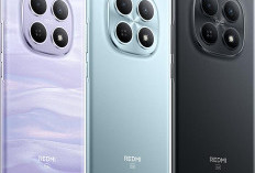 5 HP Kamera Terbaik Harga 2 Jutaan Tahun 2026, Hasil Foto Tajam dan Jernih!