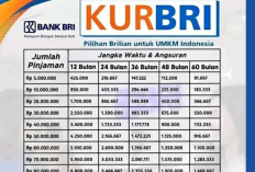 Tabel KUR BRI 2026 Pinjaman 75 Juta dengan Cicilan Super Ringan dan Bunga 0%? Cek Detailnya Sekarang!
