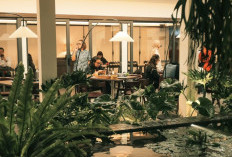 Brother Chang, Restoran Asia dengan Kisah Perjuangan Keluarga