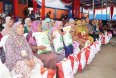 Bansos Beras 30 Kg Mulai Cair September 2026, Ini Kriteria Penerimanya