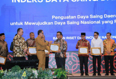 Lewat Inovasi, Kang DS Raih Penghargaan BRIN untuk Kabupaten Bandung