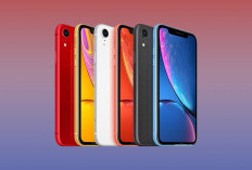 Harga Budget dan Performa Masih Stabil! iPhone XR Masih Worth It di 2026?