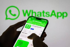 WhatsApp Punya Fitur Baru, Begini Cara Menggunakannya di Android dan iPhone