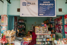Tak Sekadar Layani Transaksi Perbankan, BRILink Agen di Semarang Aktif Edukasi Masyarakat Cegah Penipuan 