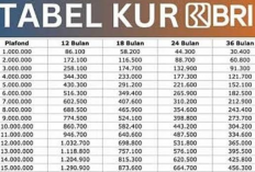 Tabel Angsuran KUR BRI 2026: Pinjam Rp50 Juta, Cicilan Mulai Rp1 Jutaan per Bulan? Cek Detailnya Disini!