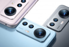 10 HP Xiaomi, Redmi, dan Poco Resmi Tak Dapat Update Lagi, Cek Daftarnya