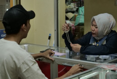 14 Tahun Mengabdi sebagai Mantri BRI, Dewi Bantu Bebaskan Warga Desa dari Jerat Rentenir di Lampung Selatan