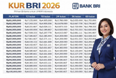 Tabel Angsuran KUR BRI Juli 2026 Pinjaman Rp50 Juta, Cicilan Mulai Rp966 Ribuan