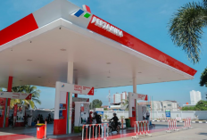 Minyak Dunia Naik Tajam, ini Update Harga BBM Terbaru 12 Maret 2026 di SPBU Indonesia