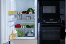 Rahasia Kulkas Tahan Lebih dari 10 Tahun, Ini Cara Merawatnya