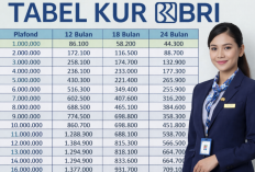 KUR BRI Awal April 2026: Ambil Pinjaman 300 Juta, Cicilan Mulai dari Segini
