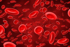 5 Cara Menaikkan HB Secara Efektif, Cocok untuk Para Pendonor Darah