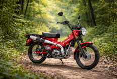 Honda CT125 2026: Motor Trail Kalcer Bergaya Klasik dengan Performa Tangguh