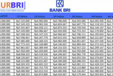 Tabel Angsuran KUR BRI 2026 Lengkap, Pinjaman Rp10 Juta sampai Rp100 Juta Cicilannya Segini!