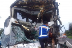 Kecelakaan di Tol Jagorawi, Sopir Bus Diduga Ngantuk