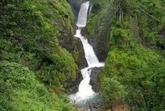 Ideal buat Self-Care, Ini 6 Curug Indah di Garut dengan Pesona Eksotis dan Menenangkan