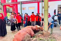 Ketua DPC PDI Perjuangan KBB dan GNTI Jabar Tebar Hewan Kurban 