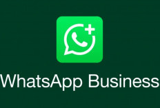 Mulai Bulan Depan Akan Ada Biaya Pengiriman Pesan di Whatsapp Akun Bisnis, Ini Aturannya