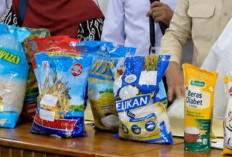 Beras Fortifikasi Abal-abal Mulai Ditarik, Bulog Siapkan 1 Juta Ton Beras SPHP