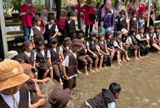 Petualangan Seru TK Bukit Dago di Villa Kancil, Belajar Sambil Bermain