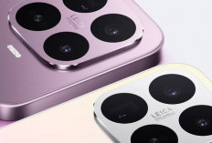 Cari HP Xiaomi Terbaik 2026? Ini 5 Pilihan dengan Kamera Bagus dan Performa Ngebut