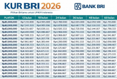 Update KUR BRI 2026: Pinjaman Rp80 Juta Tanpa Beban Berat, Tenor Hingga 60 Bulan