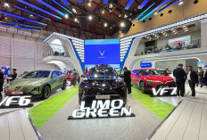 Menilik Keunggulan VinFast di Indonesia Menurut Para Ahli Keuangan