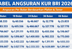 Pinjaman KUR BRI 2026 Bulan Maret Terbaru: Cicilan Ringan, Bunga Tidak Mencekik 