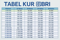 Cara Dapat Pinjaman KUR BRI 2026 Rp50 Juta, Cicilan Ringan Tanpa Beban Berat