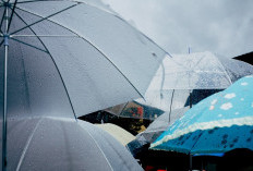 BMKG Prediksi Hujan dan Petir di Jawa Barat Hari Ini, Ini Wilayah Terdampak