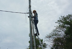 Wujudkan Layanan Berkualitas, PLN Icon Plus Lakukan Penataan Aset di Kabupaten Indramayu