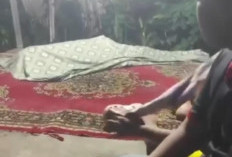 Diduga ODGJ Hilang Nyawa di Cikaret, Polisi Ungkap Ini