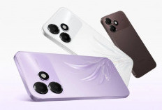 Cari Android 2 Jutaan? Ini 7 Pilihan Terbaik 2026 dengan Spesifikasi Menarik